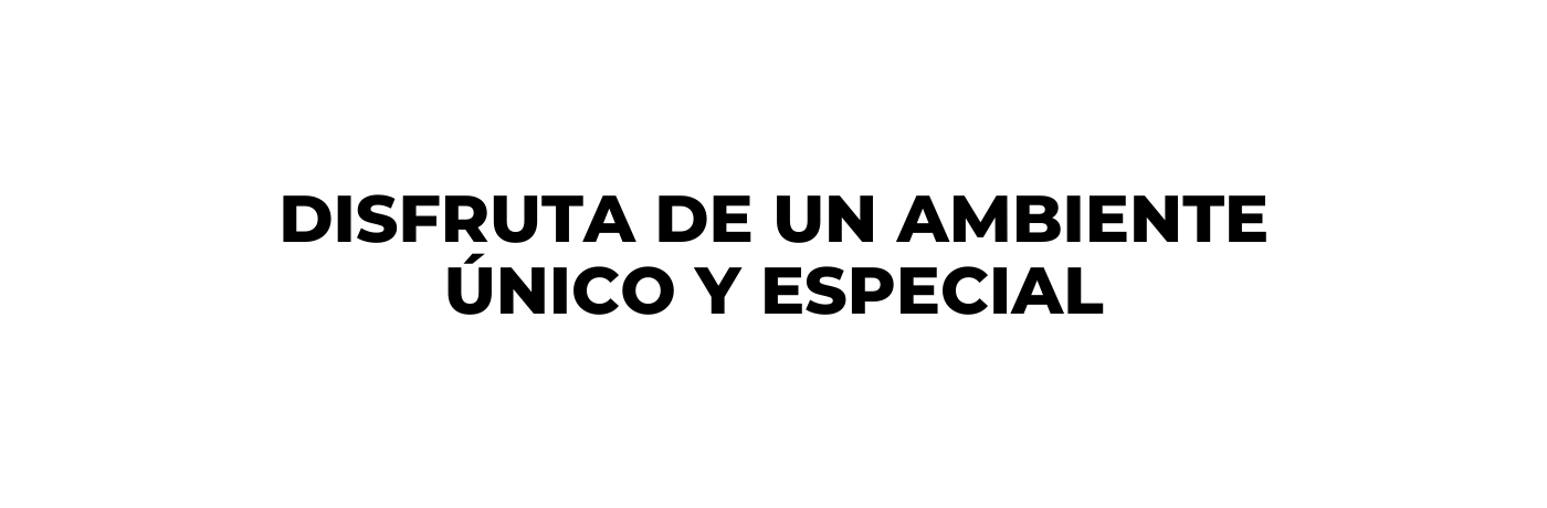 Disfruta de un ambiente único y especial
